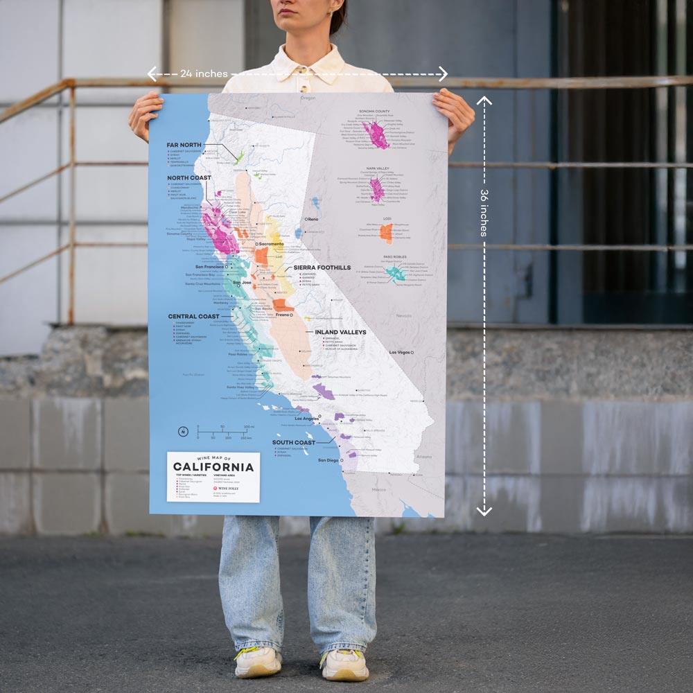 USA California XL Wine Map - 2nd Edition – Wine Folly