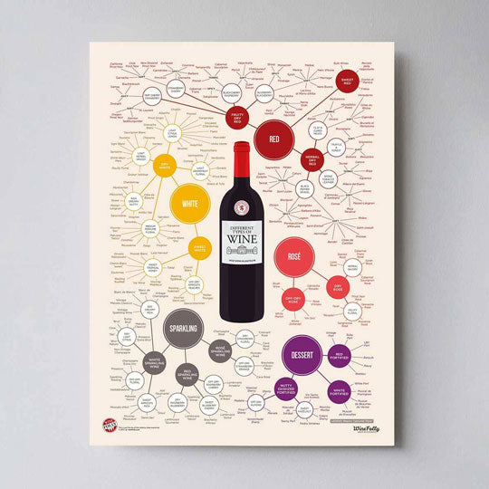 Tilstedeværelse Hvert år Specialitet Different Types of Wine Poster – Wine Folly