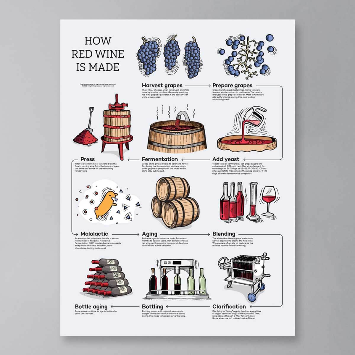 wine infographic poster