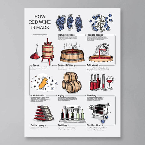 How Wine is Made Poster Bundle