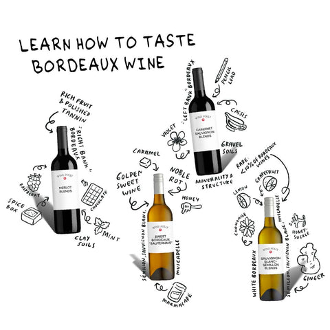 Bordeaux 101