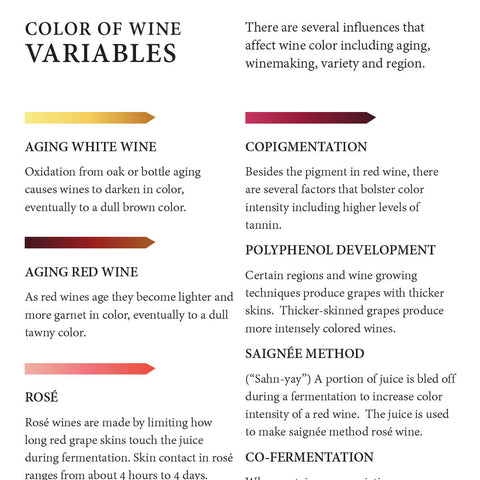 Pdf Wine Color Color of Wine Poster – Wine Folly