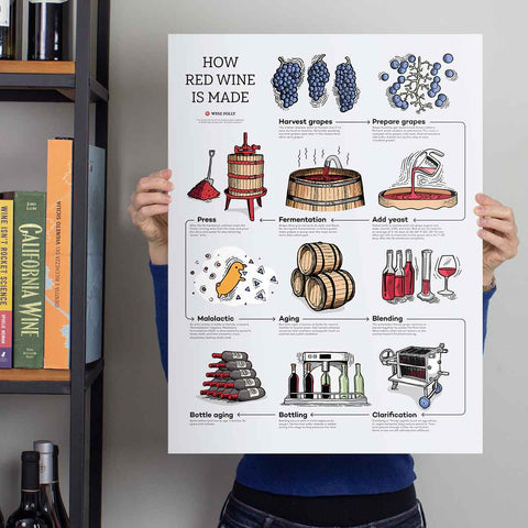 How Red Wine Is Made