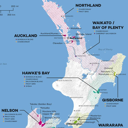 New Zealand Wine Map (Digital Download PDF) | Wine Folly