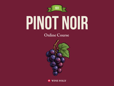 Pinot Noir 101