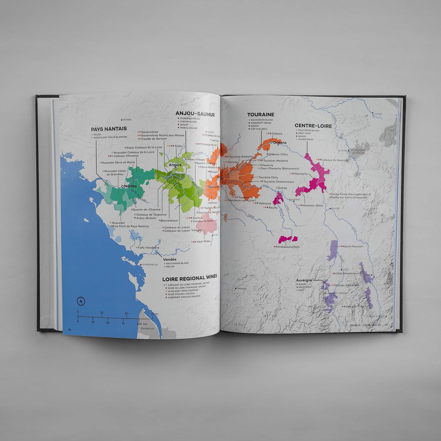 Wine Folly Wine Maps Book