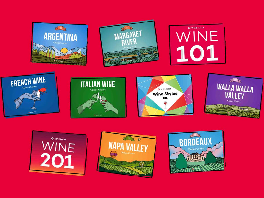 Learn about Wine, Wine Courses, Books and Accessories | Wine Folly