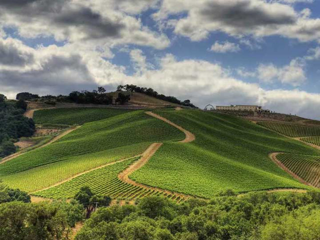 Paso Robles 101 – Wine Folly