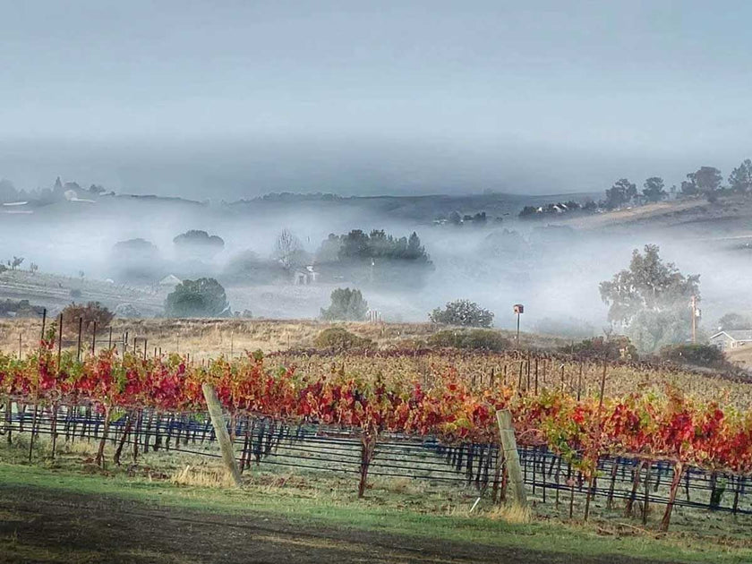 Paso Robles 101 Wine Folly