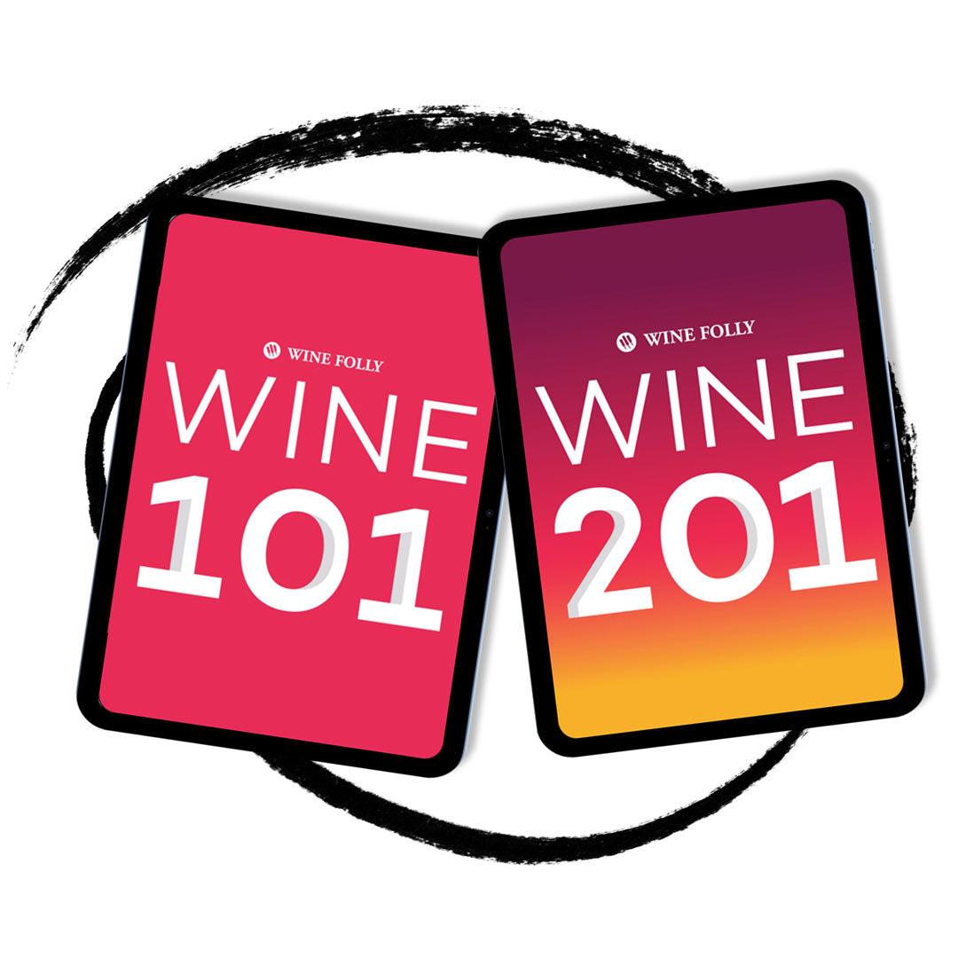 Novice to Pro Wine Course Bundle – Wine Folly