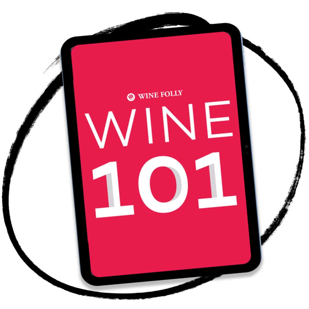 Wine Beginners Kit Wine Folly