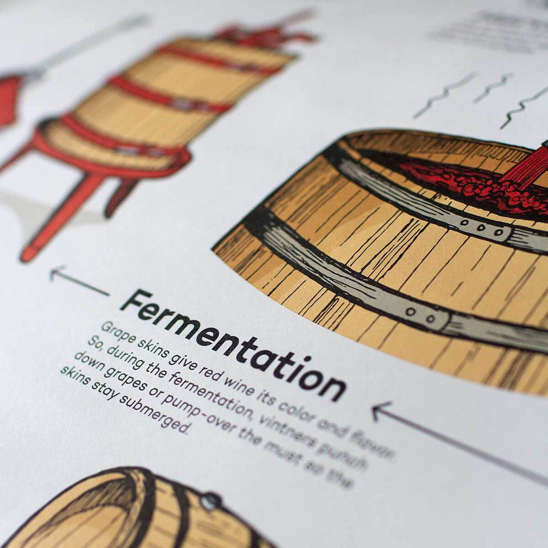 How Red Wine is Made Poster | Wine Folly
