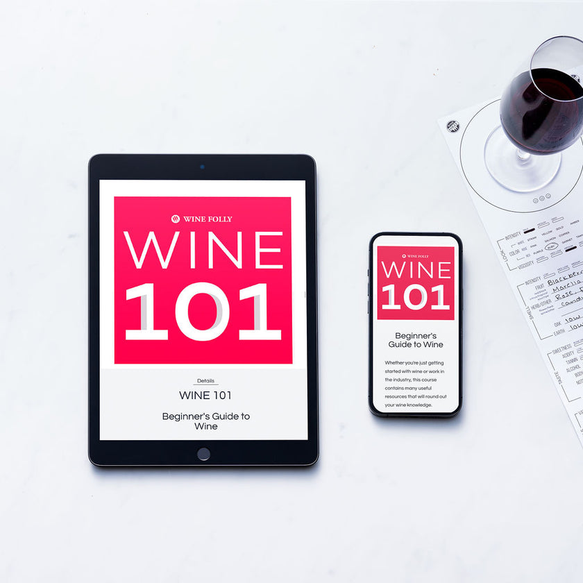 Wine Folly Club Education Bundle (Learn by Drinking)