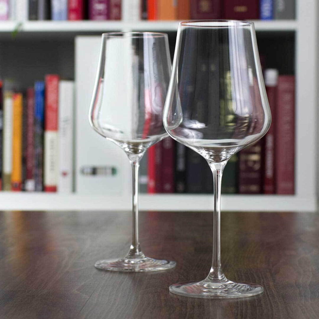 Gabriel Glas Wine Glasses Stand'Art Universal Wine Glass Wine Folly
