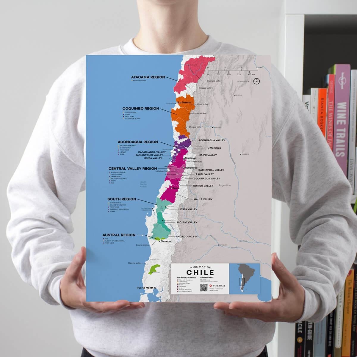 Chile Wine Map 1st Edition Wine Folly   MAP PERSPECTIVE 12X16 CHILE 1200x1200px 5545206e Ada2 4217 89ba C7c5e904c43c 