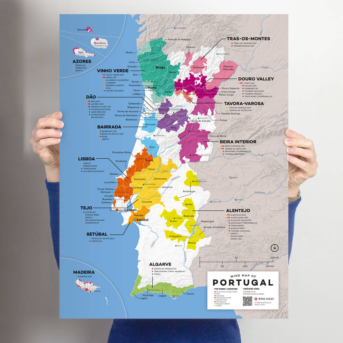 Portugal Wine Map 1st Edition Wine Folly   MAP PERSPECTIVE 18X24 PORTUGAL 1200x1200px 