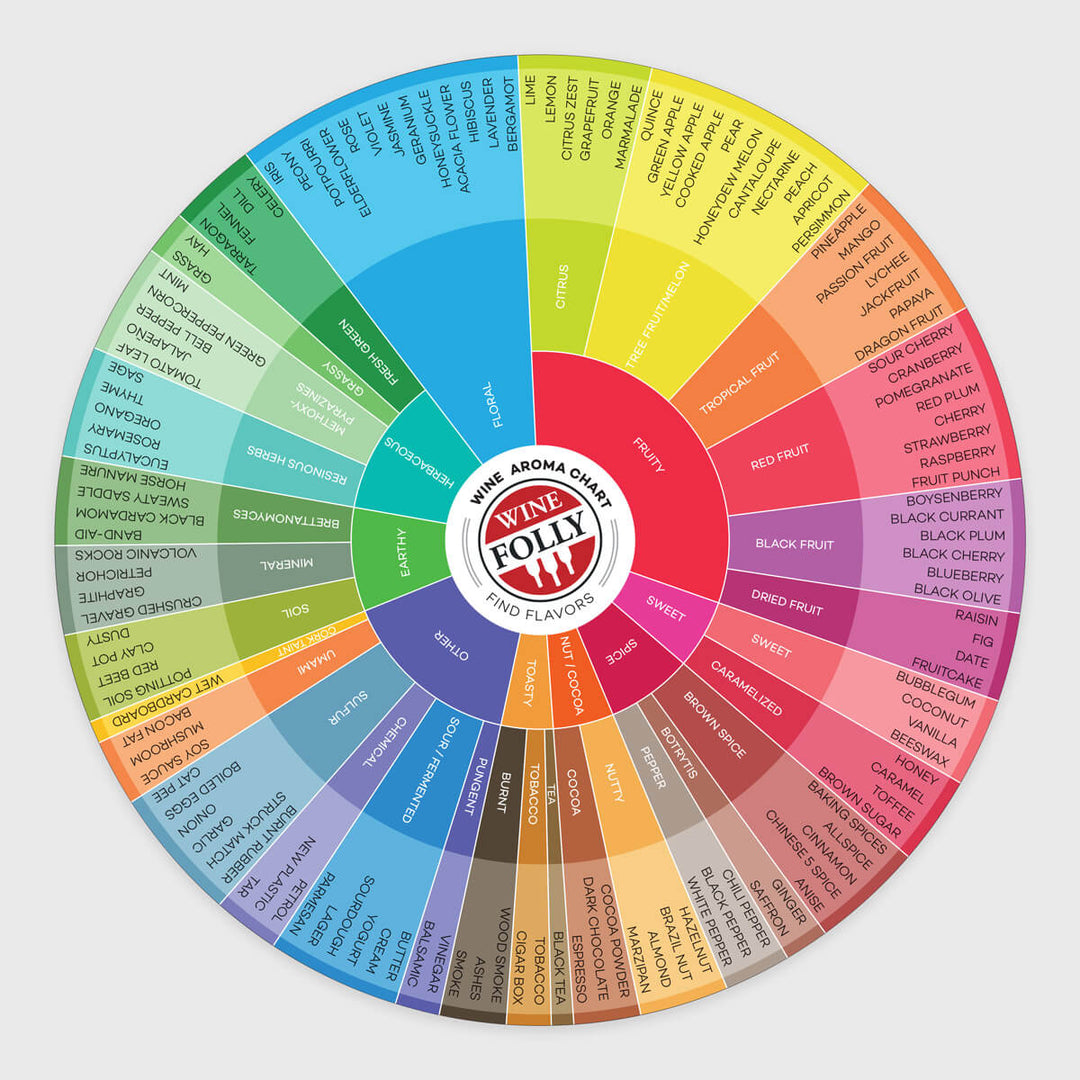 Wine Aromas 9" Circle Chart Wine Folly