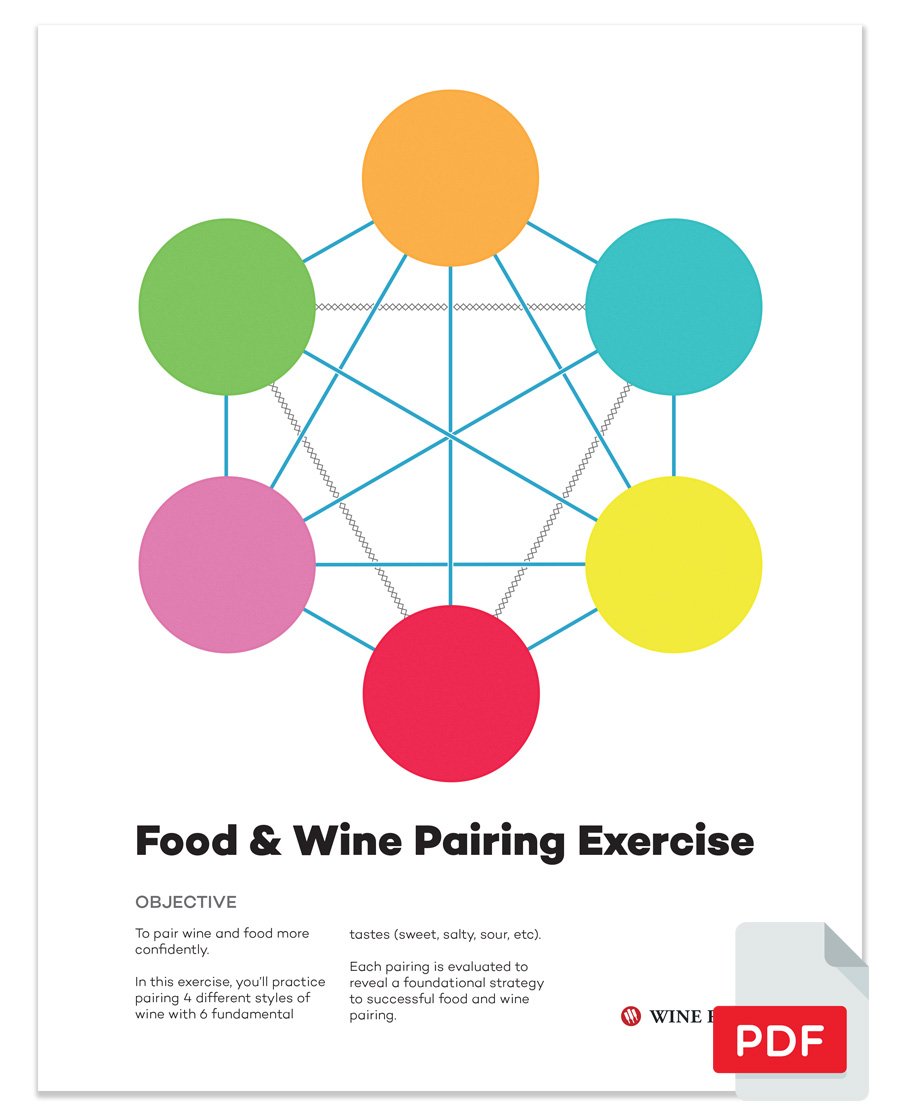 Wine & Food Pairing Activity Guide (Digital Download PDF) | Wine Folly