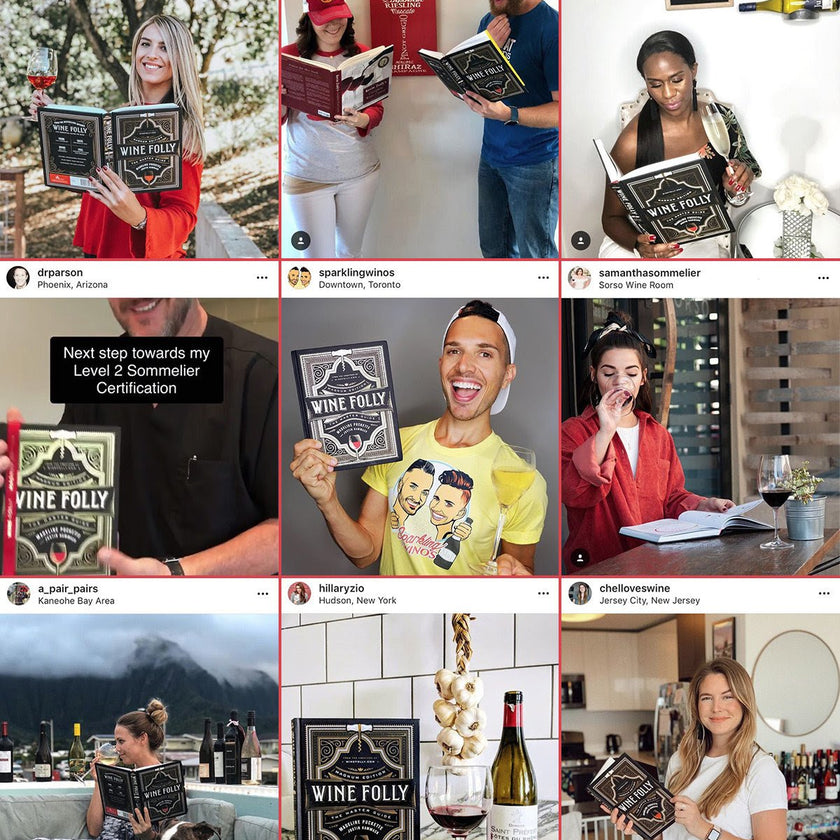 Wine Folly Magnum Edition The Master Guide + Wine 101