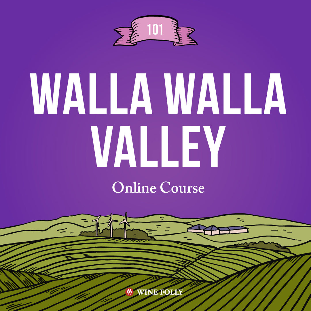 101 Course Bundle – Wine Folly