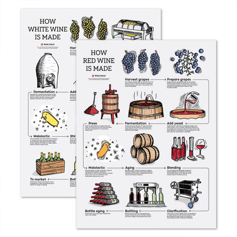 How Wine is Made Poster Bundle