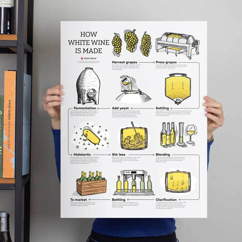 Wine Learning How White Wine is Made Poster | Wine Folly