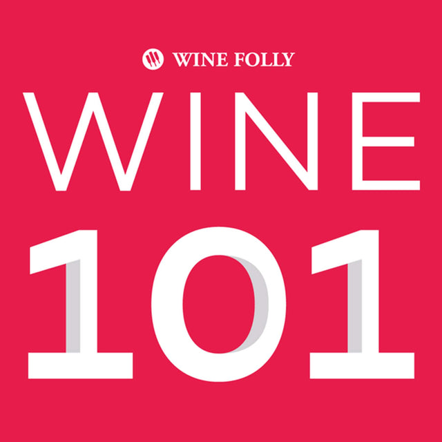 Wine Folly Magnum Edition The Master Guide + Wine 101